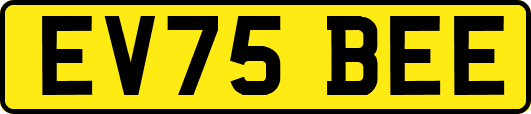EV75BEE
