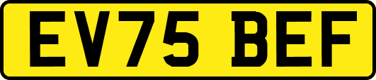 EV75BEF