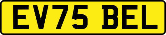 EV75BEL