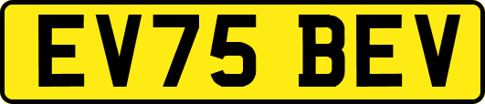 EV75BEV