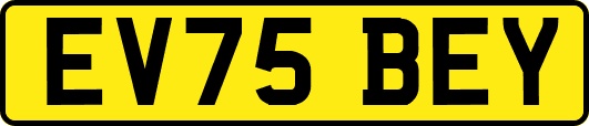 EV75BEY