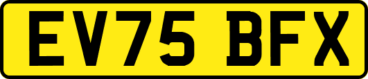 EV75BFX