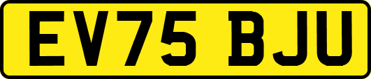 EV75BJU