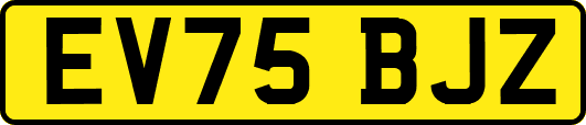 EV75BJZ