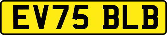 EV75BLB