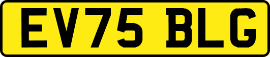 EV75BLG
