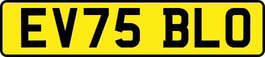 EV75BLO