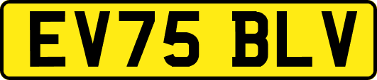 EV75BLV