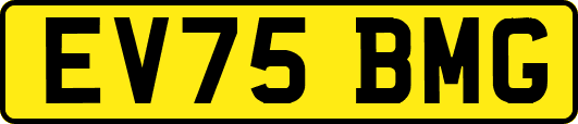 EV75BMG