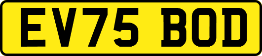 EV75BOD