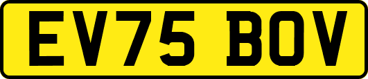 EV75BOV