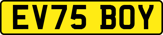 EV75BOY