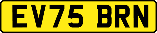 EV75BRN