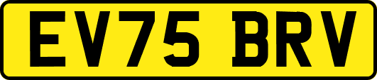 EV75BRV