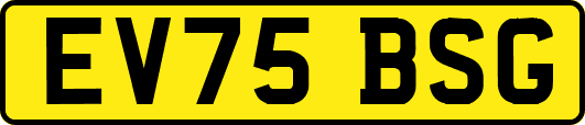 EV75BSG
