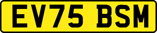 EV75BSM
