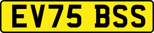 EV75BSS