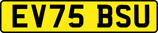 EV75BSU