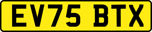 EV75BTX