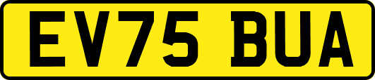 EV75BUA