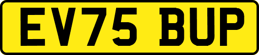 EV75BUP