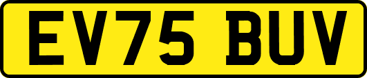 EV75BUV