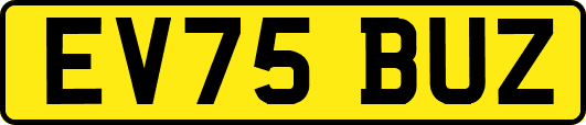 EV75BUZ
