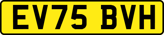 EV75BVH