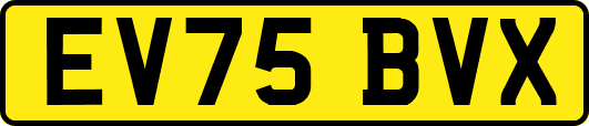 EV75BVX