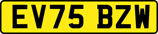 EV75BZW