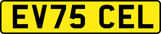 EV75CEL