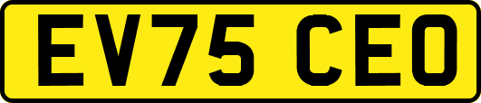 EV75CEO