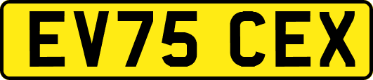 EV75CEX