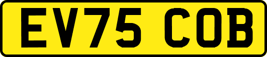 EV75COB