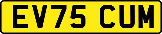EV75CUM