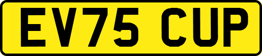 EV75CUP