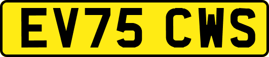 EV75CWS