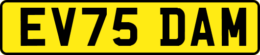 EV75DAM