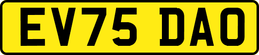 EV75DAO