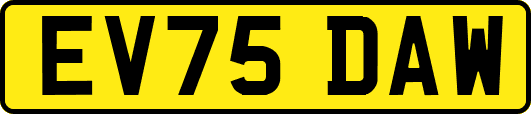 EV75DAW