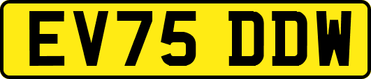 EV75DDW