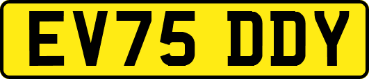 EV75DDY