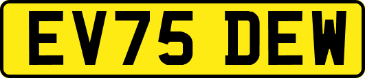 EV75DEW
