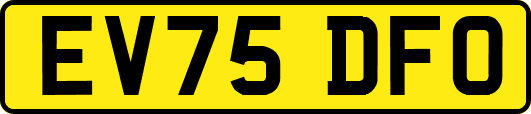EV75DFO