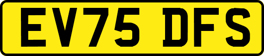 EV75DFS