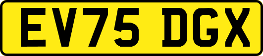 EV75DGX