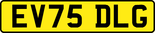 EV75DLG