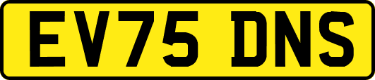 EV75DNS