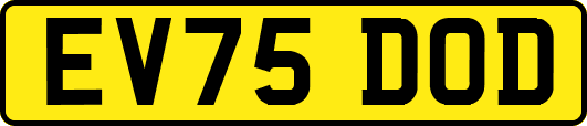 EV75DOD