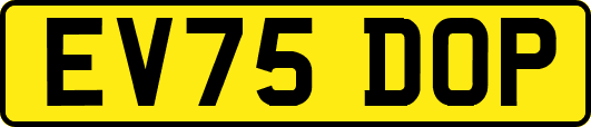 EV75DOP